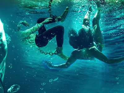 Cá Mập Dưới Nước