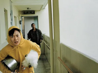 Chú Chó Mất Tích