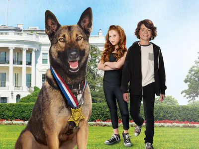 Chú Chó Max 2- Người Hùng Nhà Trắng