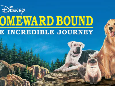 Hành Trình Về Nhà