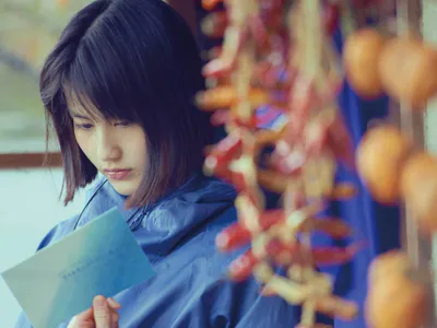 Khu Rừng Nhỏ - Hạ/Thu