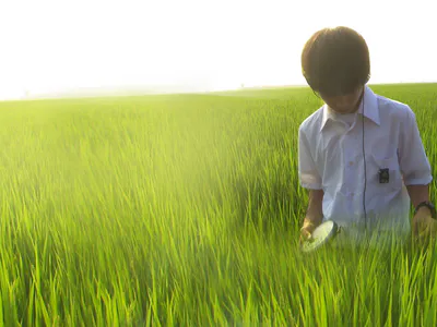 Khúc Cầu Siêu Của Tuổi Trẻ