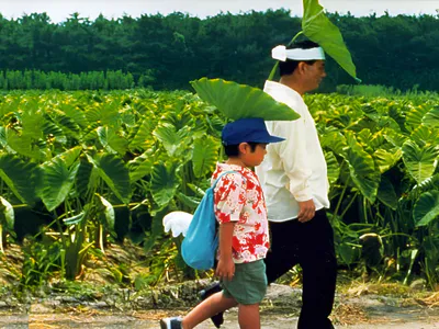 Mùa Hè Của Kikujiro