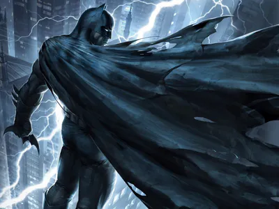 Người Dơi: Kỵ Sĩ Bóng Đêm Trở Lại, Phần 1