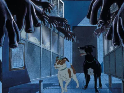 Những Chú Chó Mang Bệnh Dịch Hạch