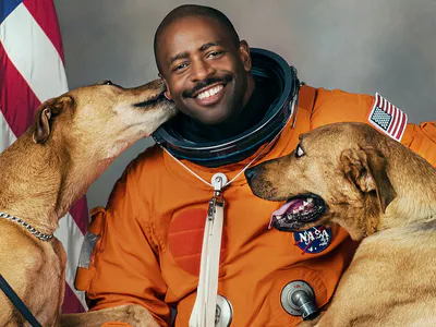 Những Chú Chó (Phần 2)