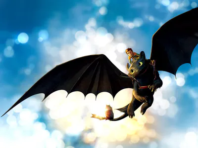 Quyển Sách Của Rồng