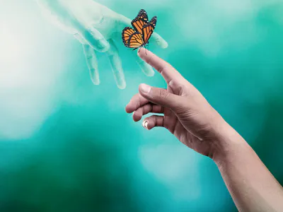 Sống Sót Sau Cái Chết