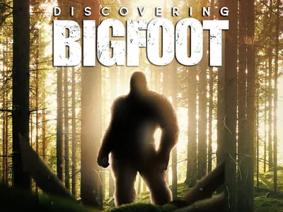 Truy Tìm Bigfoot
