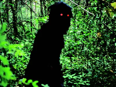 Uncle Boonmee Who Can Recall His Past Lives